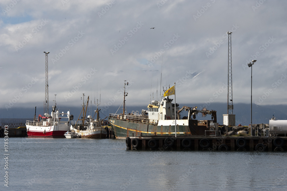 Husavik, Iceland. A fishing boat in a Typical Icelandic landscape, a wild nature of rocks and shrubs, rivers and lakes.