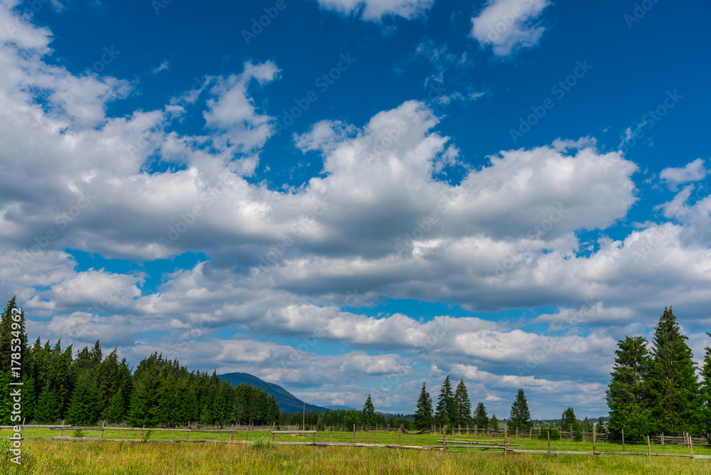 Sunny day in the mountains