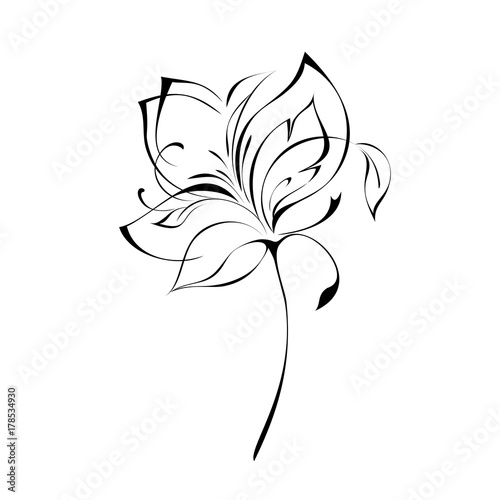 ornament 162. stylized flower in black lines on a white background