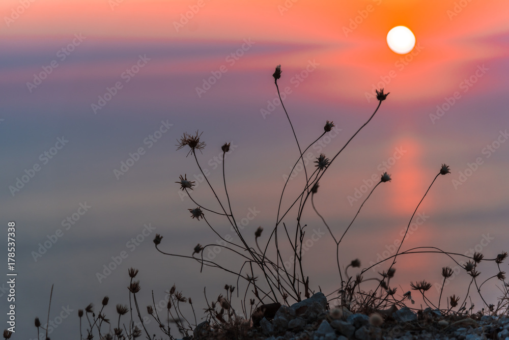 Fototapeta premium Sea sunset landscape