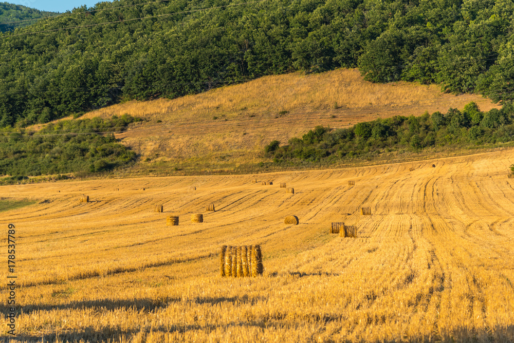 Obraz premium Straw balot