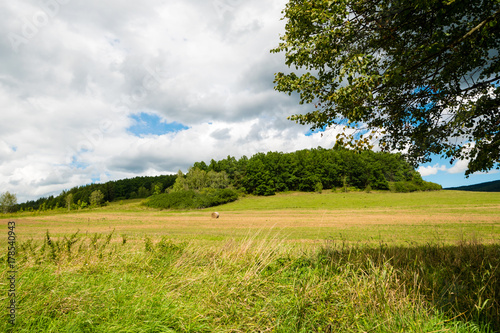 Beautiful land in summer sunny day