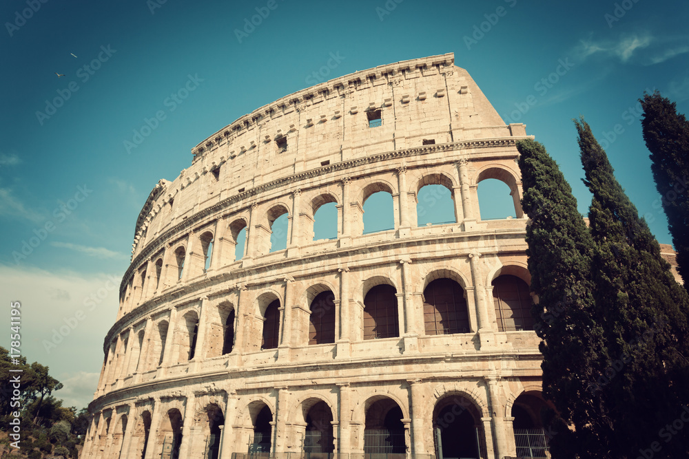 Colosseum with cypress trees in vintage tone