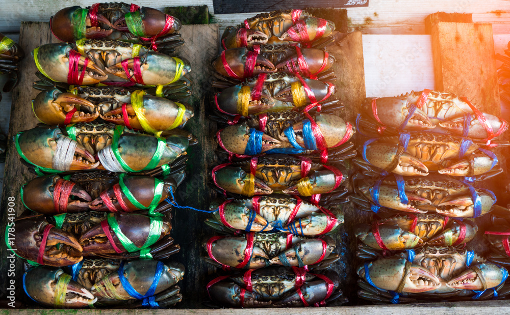 Scylla serrata. Fresh crabs are tied with colorful plastic ropes and arranged in a neat rows at the seafood market in Thailand. Raw materials for seafood restaurants concept with flare light