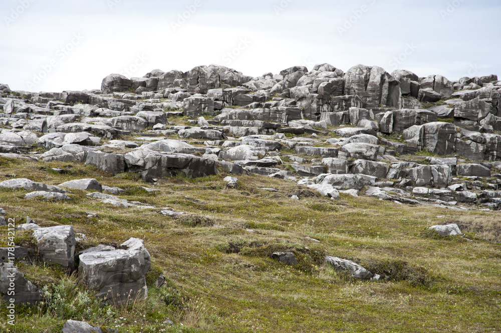 Typical Icelandic landscape, a wild nature of rocks and shrubs, rivers and lakes.