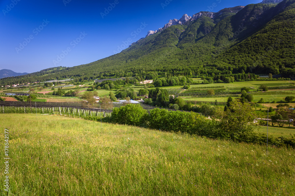 Green alpine landscape in Trento