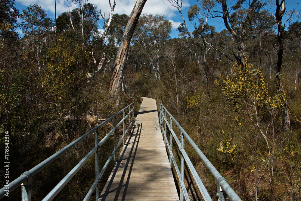Wanderweg in Blue Mountains in Australien