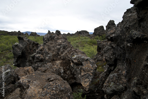 Typical Icelandic landscape, a wild nature of rocks and shrubs, rivers and lakes.