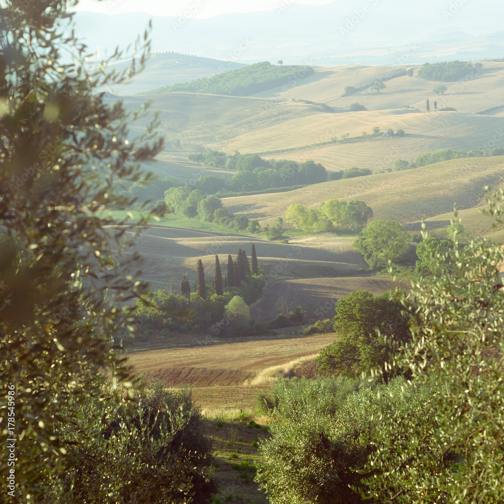 Tuscany, summer view, Italy, Europe. World Heritage Site by UNESCO.