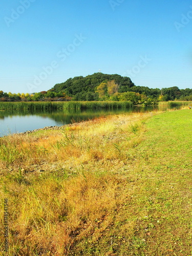 秋の池と森のある風景