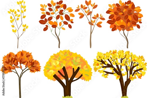 Set of different autumn trees with yellowed leaves