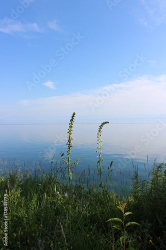 Summer day on the lake Baikal. A bright Sunny day. In the foreground green grass. In the background the blue sky and blue water merge at the horizon. In the sky there is a cloud. 