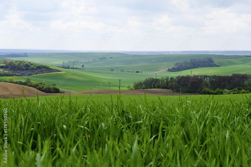 Wavy spring fields in South Moravia. Moravian Tuscany, South Moravia, Czech Republic.