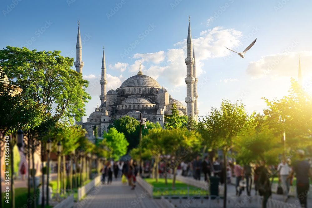 Fototapeta premium Park near the blue mosque