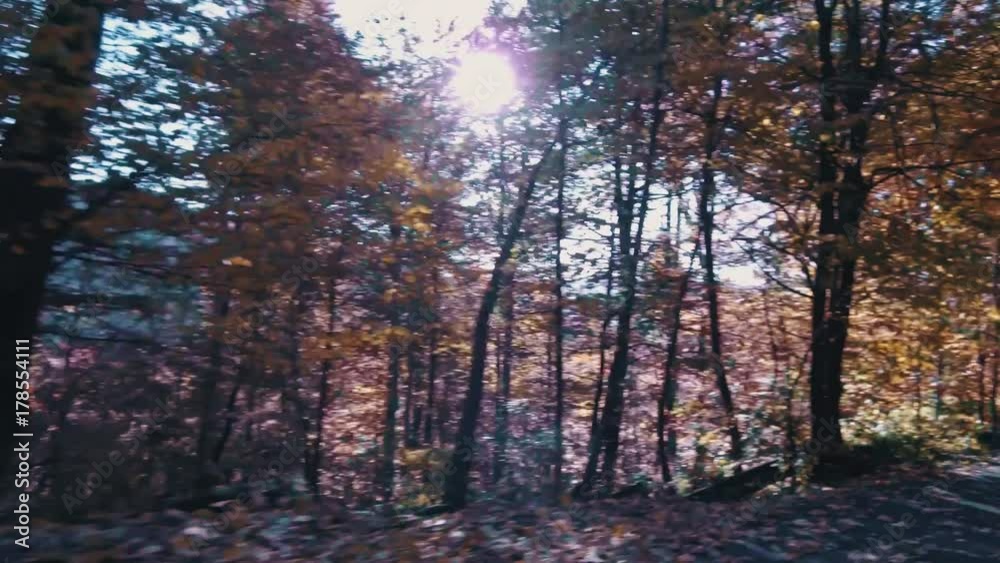 Driving on a road in autumn mountains
Driving on a road in autumn mountains