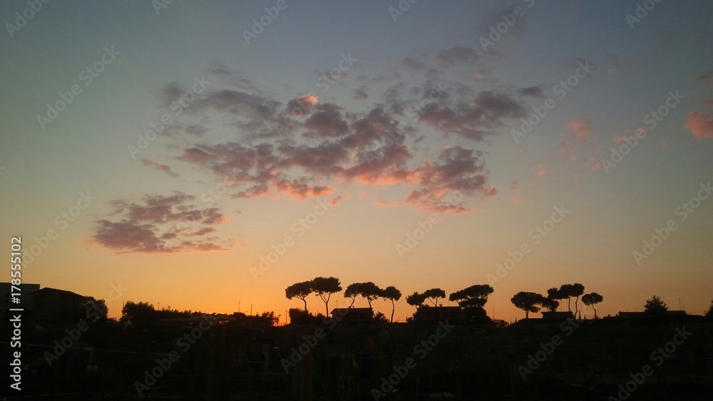 alberi al tramonto