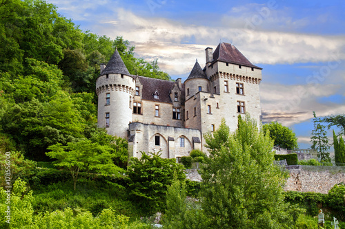 Le château de La Roque Gageac vu depuis la Dordogne. Dordogne. Nouvelle Aquitaine 