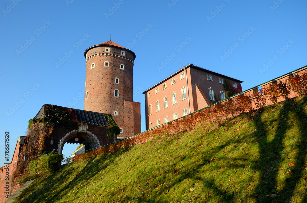 The castle in Krakow, Poland (Wawel)