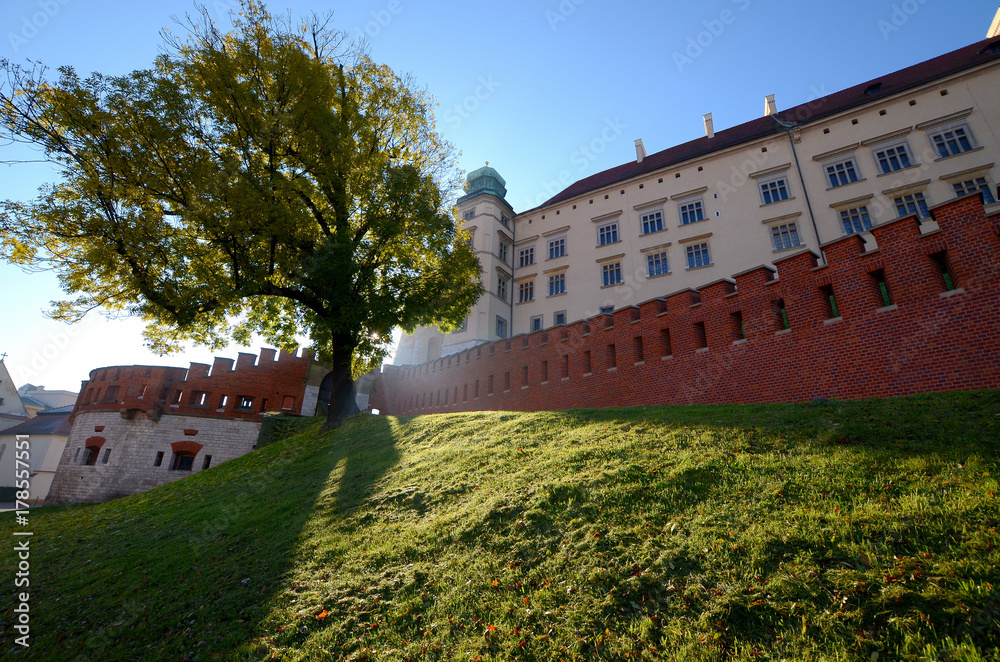 The castle in Krakow, Poland (Wawel)