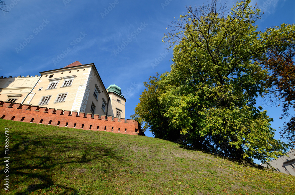 The castle in Krakow, Poland (Wawel)