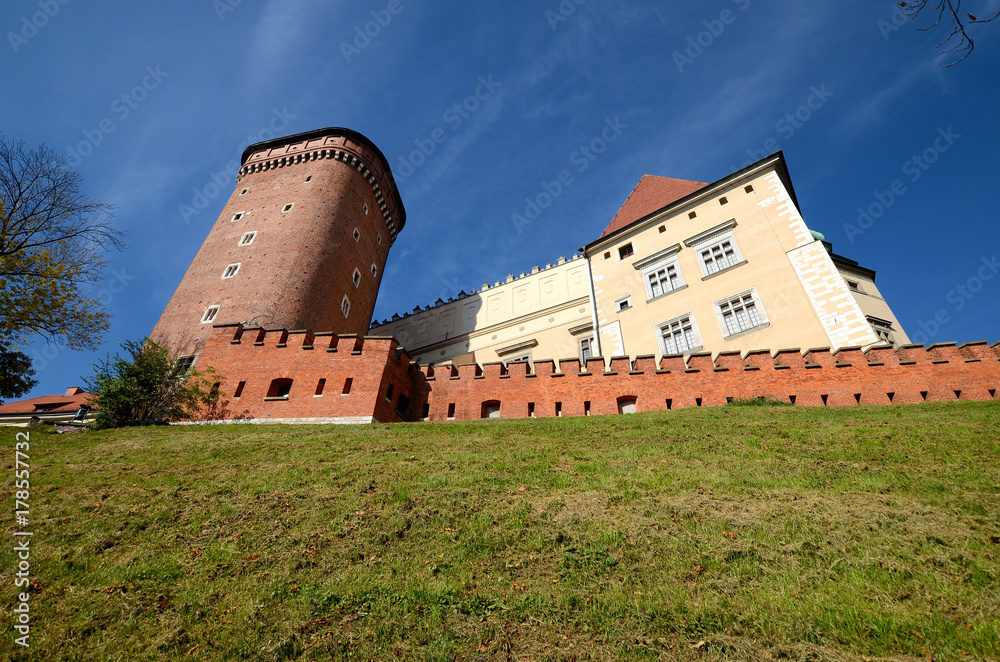 The castle in Krakow, Poland (Wawel)