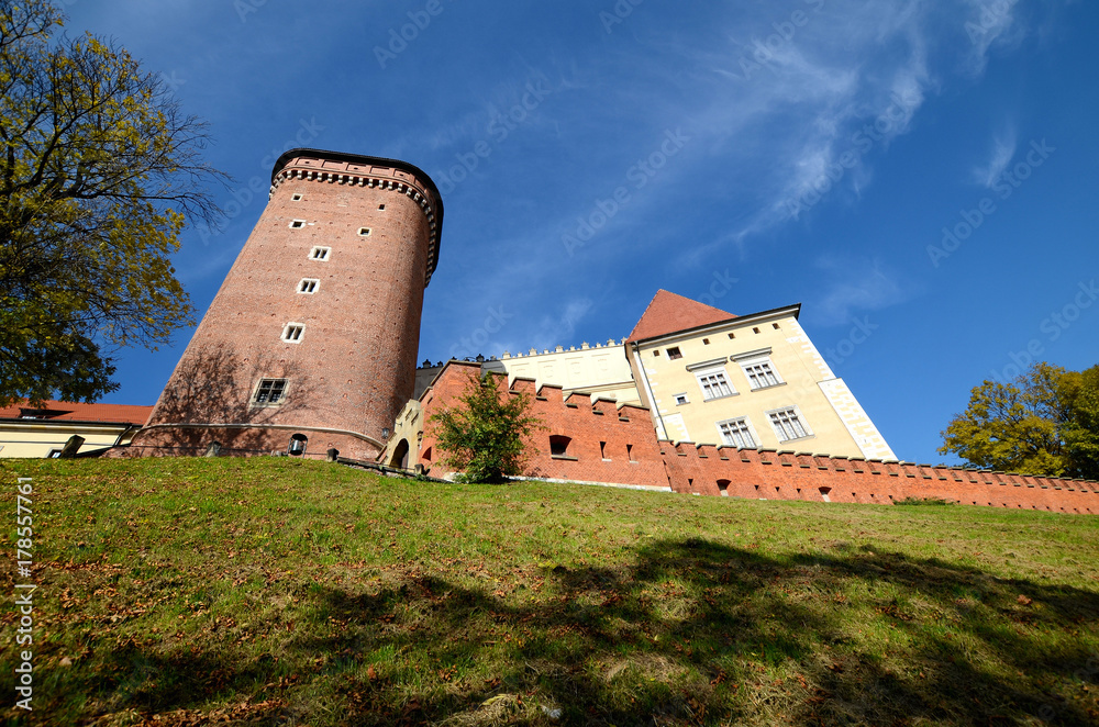 The castle in Krakow, Poland (Wawel)