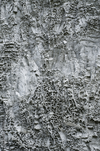 Detail of a basalt rock formation, Iceland