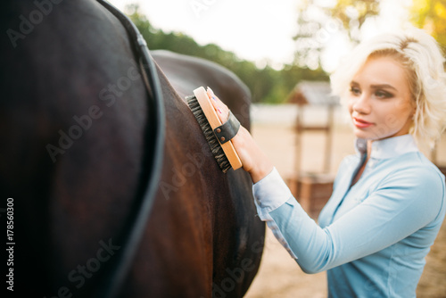 Woman take caring for the hair of brown horse