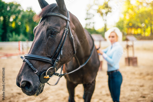 Portrait of young blonde woman with horse