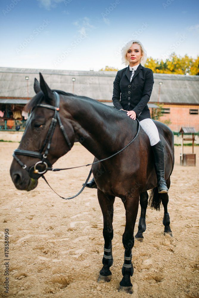 Equestrian sport, woman poses on horseback Equestrian sport, woman poses on horseback