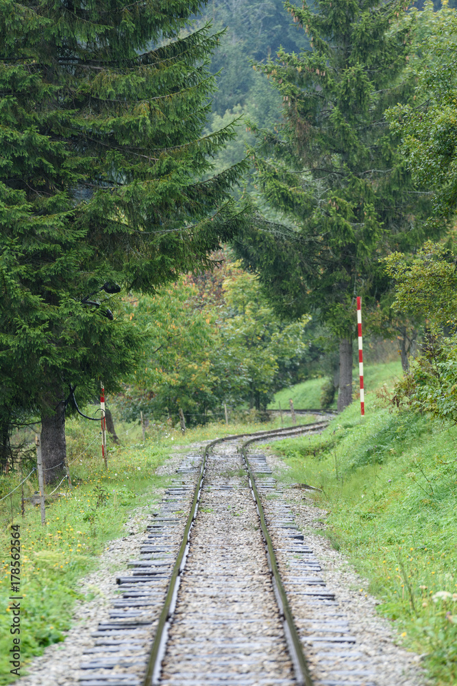 Fototapeta premium wavy railroad tracks in wet summer day in forest