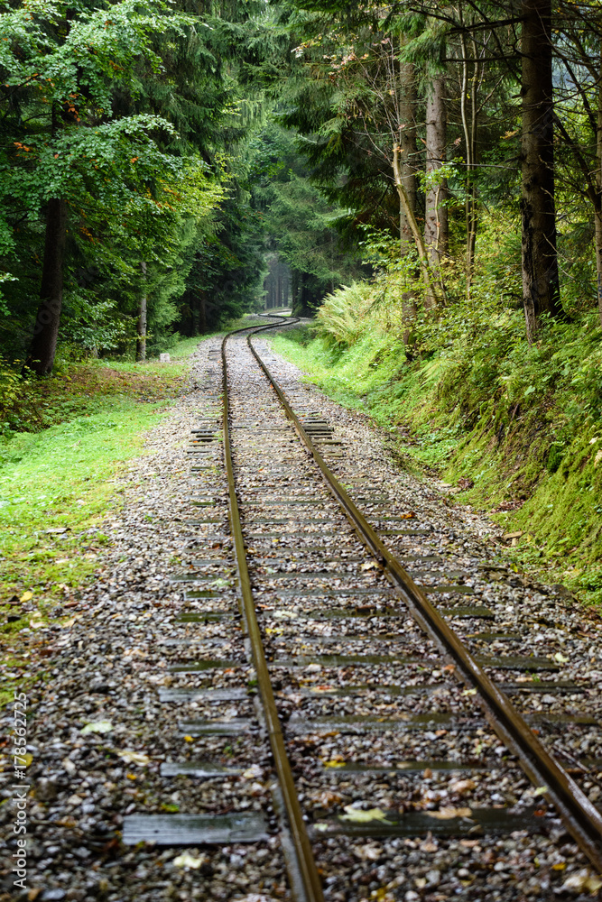wavy railroad tracks in wet summer day in forest wavy railroad tracks in wet summer day in forest