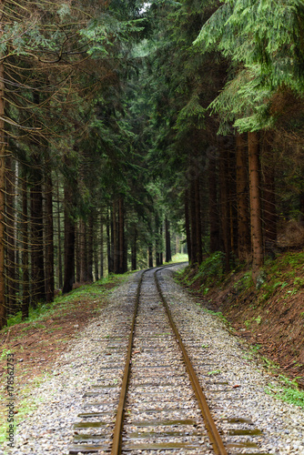 wavy railroad tracks in wet summer day in forest