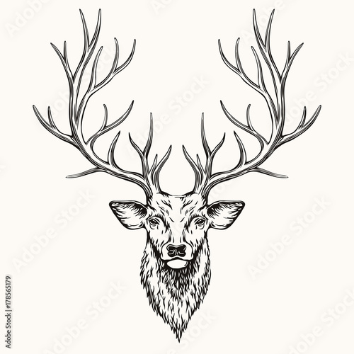Billede på lærred Head of Deer