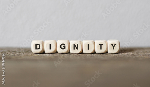 Word DIGNITY made with wood building blocks