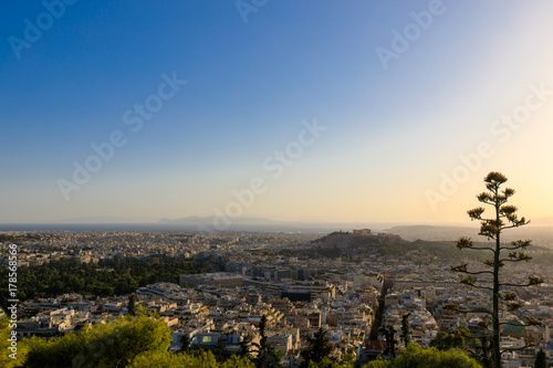 Acropolis with Parthenon at sunset  Athens  Greece with tree  view from Lycabattus Hill