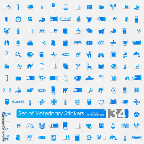 Set of veterinary stickers