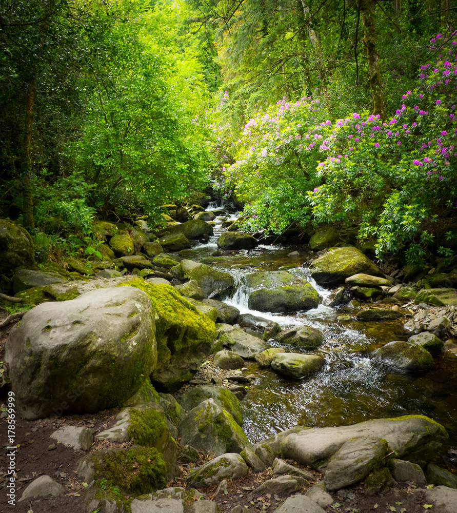 Waterfalls in green Ireland