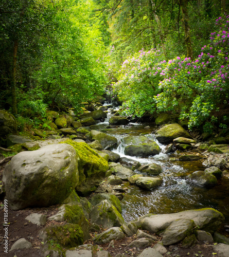 Waterfalls in green Ireland