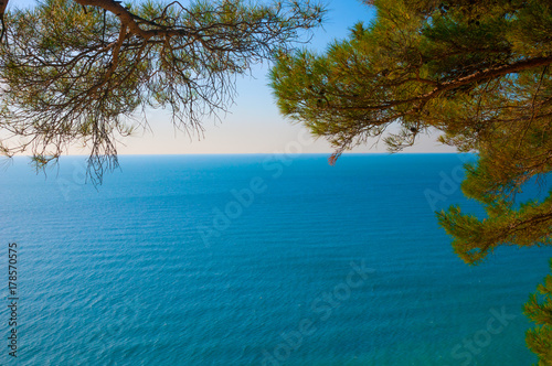 View above on the sea through pines