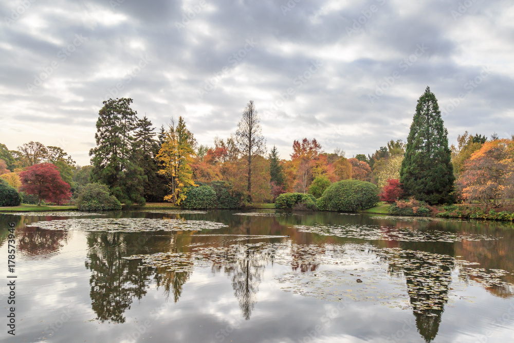 Obraz premium Reflections in a Lake