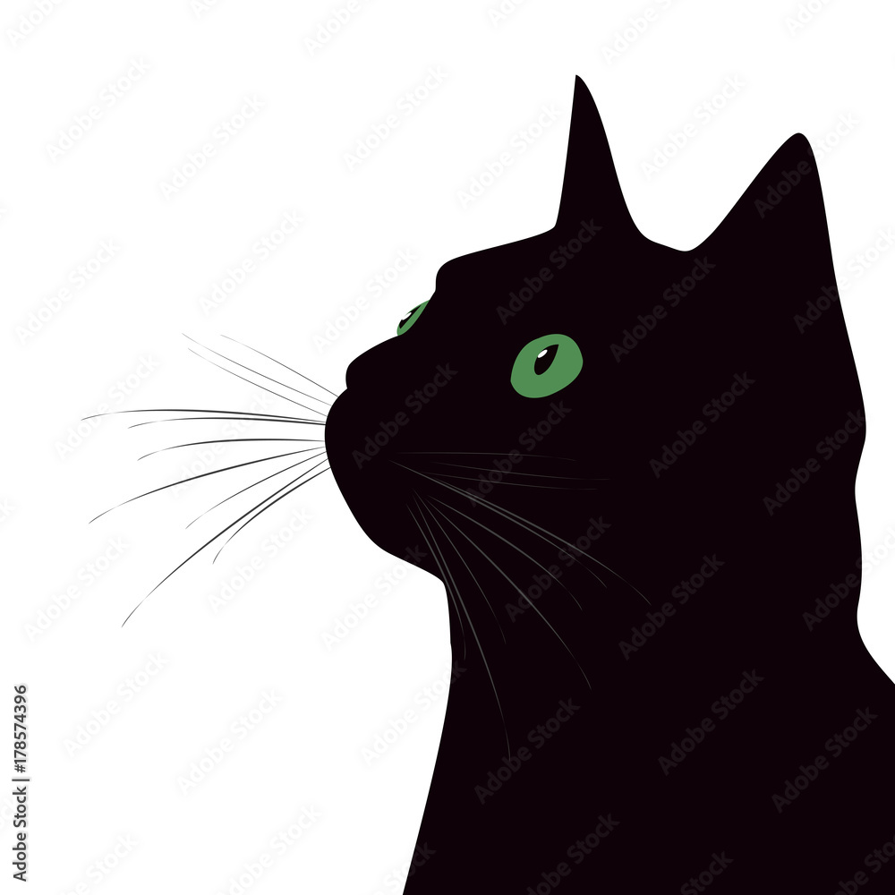Black cat with green eyes on white background Stock Vector | Adobe Stock
