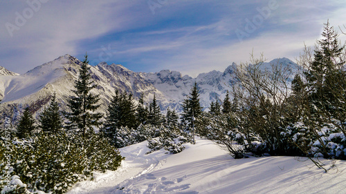 Winter landscape, Tatra Mountains, Poland