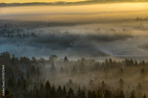 Fototapeta Naklejka Na Ścianę i Meble -  Sonnenaufgang über den herbstlichen Isarauen bei Schlederloh