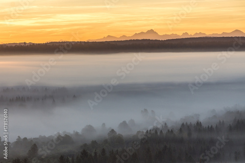 Blick   ber die Nebelschleier auf die bayrischen Alpen im Morgenlicht