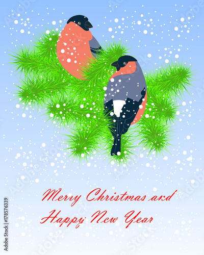 Two colorful bullfinches sitting on green fir branches, white snow on blue, Happy New Year and Merry Christmas stock vector illustration