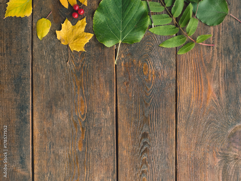 Autumn leaves on the rough wooden surface. Colourful fall background.