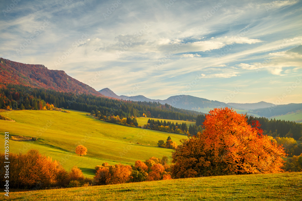 Fototapeta Colorful landscape in autumn, National Nature Reserve Sulov Rocks, Slovakia.