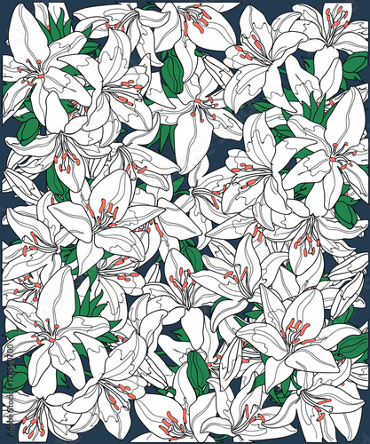Fototapeta Naklejka Na Ścianę i Meble -   background of white blooming lilies