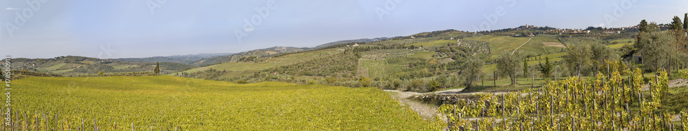 View to town Chastellina in Chianti with vineyards in Tuscany in Italy